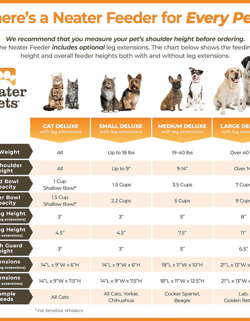 Load image into Gallery viewer, Neater Feeder Deluxe with Leg Extensions (Medium, Gunmetal Grey)
