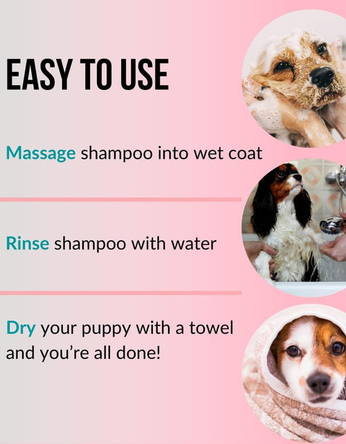 Load image into Gallery viewer, 1 Gallon Tearless Puppy Shampoo and Conditioner - anti Itch Dog Shampoo Sensitive Skin - Coconut Oil Oatmeal Pet Shampoo for Puppies
