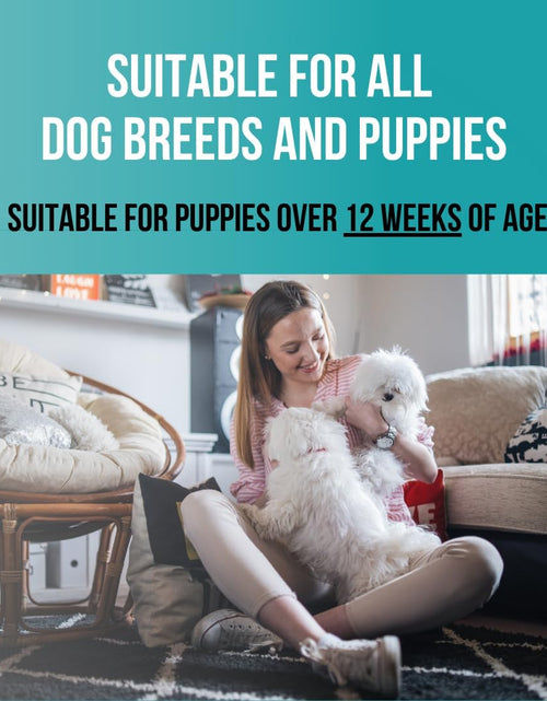 Load image into Gallery viewer, 1 Gallon Tearless Puppy Shampoo and Conditioner - anti Itch Dog Shampoo Sensitive Skin - Coconut Oil Oatmeal Pet Shampoo for Puppies
