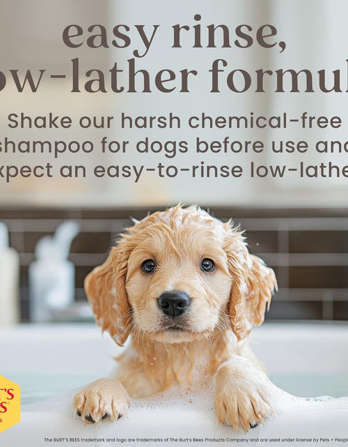 Load image into Gallery viewer, Puppies Natural Tearless 2 in 1 Shampoo and Conditioner | Made with Buttermilk and Linseed Oil | Best Tearless Puppy Shampoo for Gentle Skin and Coat | Made in USA, 16 Oz
